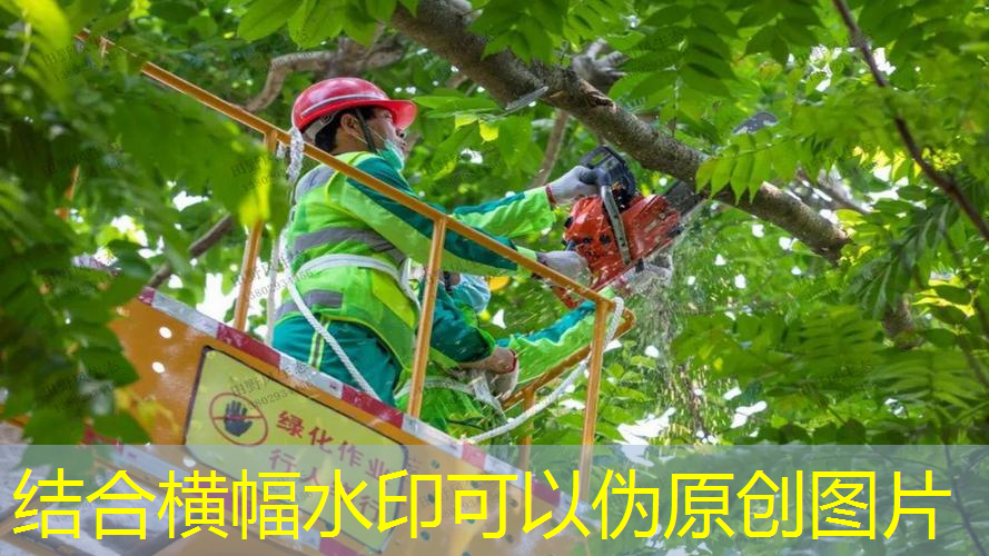 jn江南·體育登錄入口，亞瑪芬體育網(wǎng)球拍多少