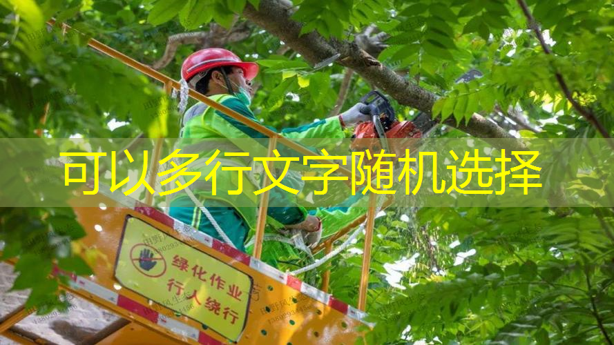 JN江南·體育最新，網(wǎng)球拍減震器裝不進(jìn)