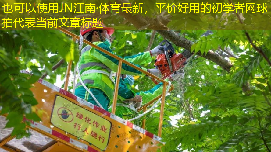 JN江南·體育最新，平價好用的初學者網(wǎng)球拍