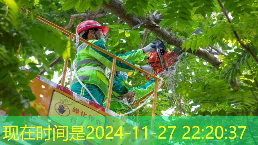 jn江南娛樂(lè)，網(wǎng)球拍帶減震器好不好