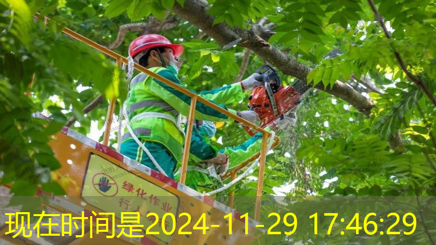 網(wǎng)球拍需要兒童版的嘛