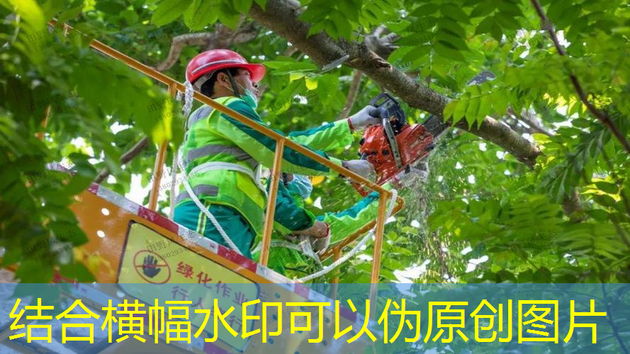 網球拍子怎樣選購的呢