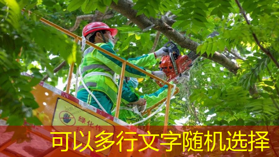jn江南公司，寶貝兒乒乓球臺(tái)尺寸360體育在線觀看