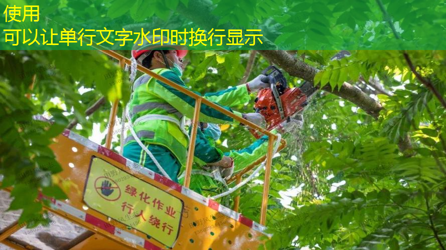jn江南娛樂，28min室內(nèi)健身繪就新藍圖 體育南陽開啟新征程