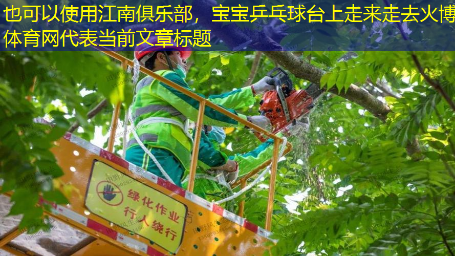 江南俱樂部，寶寶乒乓球臺上走來走去火博體育網(wǎng)