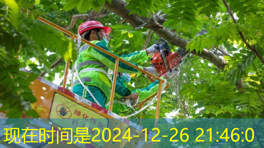 jn江南·體育登錄入口，網(wǎng)球拍子母線怎么拿