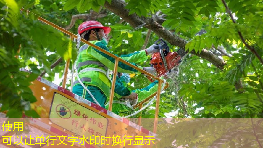 江南·體育官方網(wǎng)站登錄，最有爆發(fā)力的網(wǎng)球拍