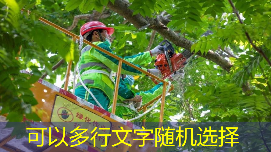 jn江南官方體育，網(wǎng)球拍全碳素和碳素復(fù)合
