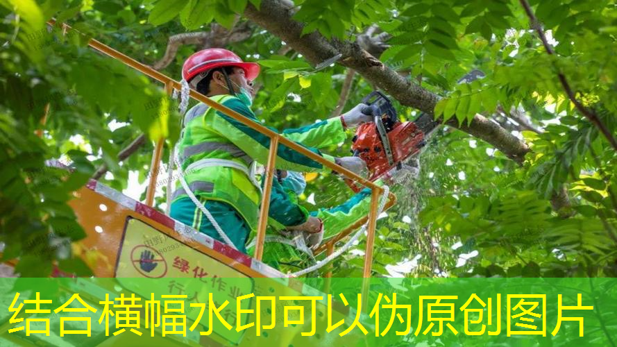 JN江南·體育最新，費(fèi)德勒網(wǎng)球拍專業(yè)介紹