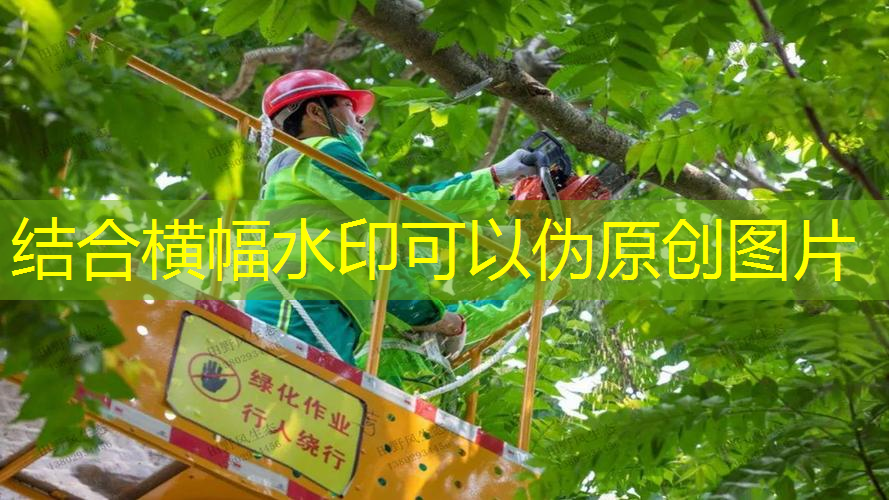 江南·體育官方網站登錄，開箱網球拍單人訓練器材