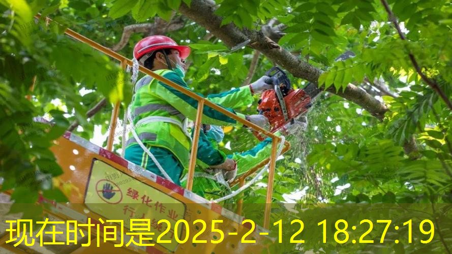 jn江南官方體育，陳列運動網(wǎng)球拍怎么用的