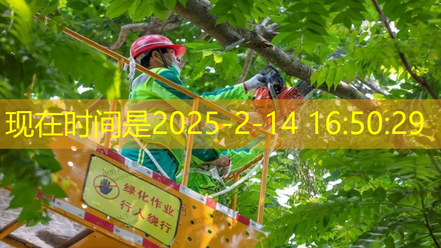 jn江南·體育登錄入口，網(wǎng)紅網(wǎng)球拍怎么拍好看的