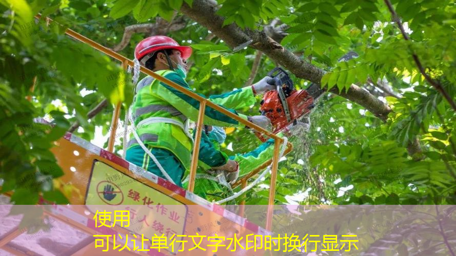 jn江南娛樂，煙臺網(wǎng)球拍平價面膜
