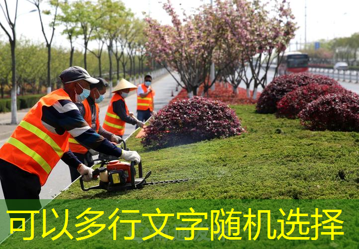 jn江南·體育登錄入口，禿嚕皮的網(wǎng)球拍終于有救了