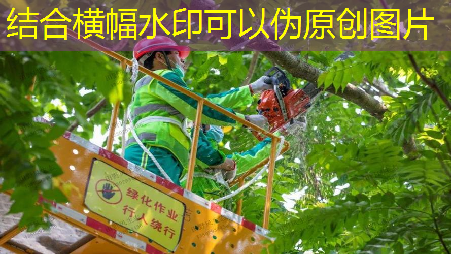 網(wǎng)球拍大人和孩子的區(qū)別