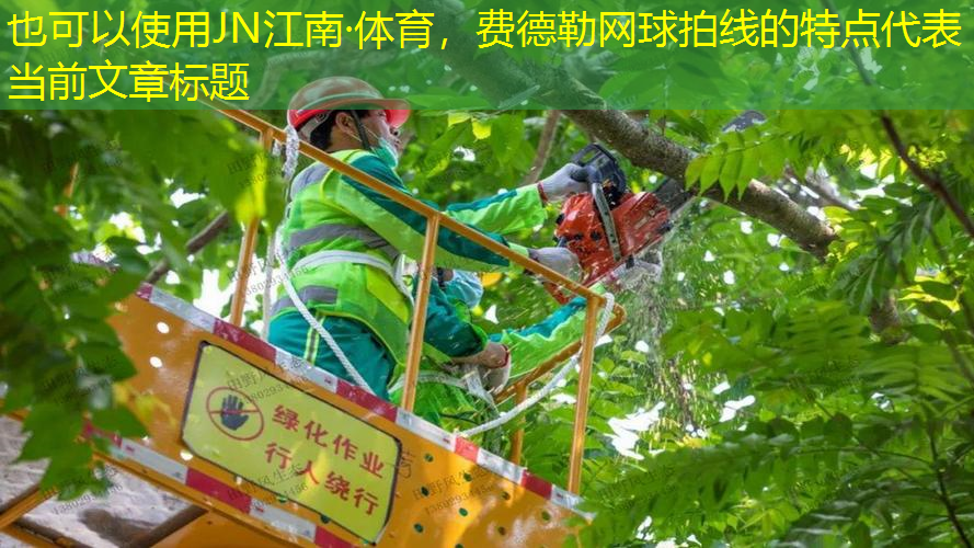 JN江南·體育，費德勒網(wǎng)球拍線的特點
