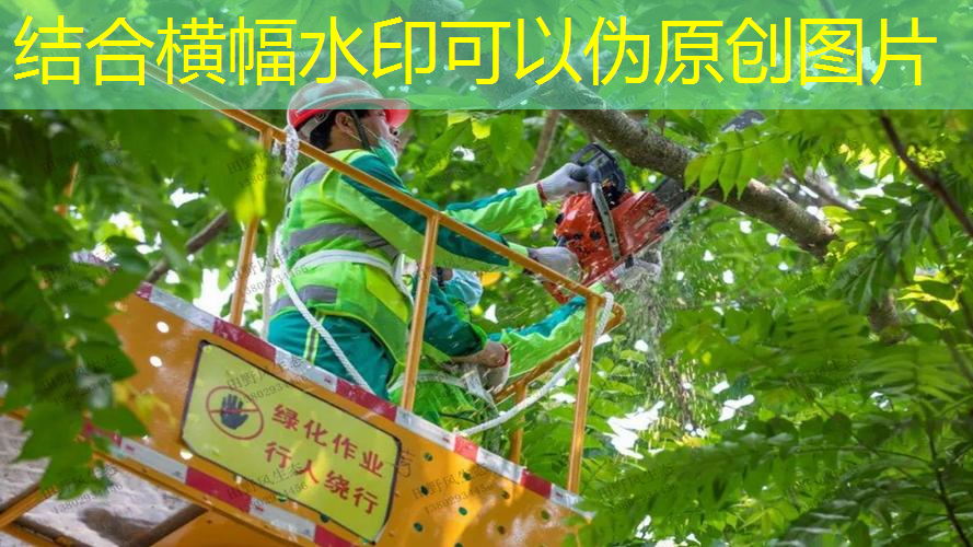 江南·體育官方網(wǎng)站登錄，網(wǎng)球拍怎么選成人的尺碼