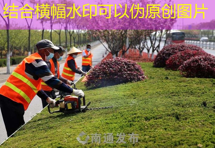 JN江南·體育最新，小黑拍網(wǎng)球拍多重比較好