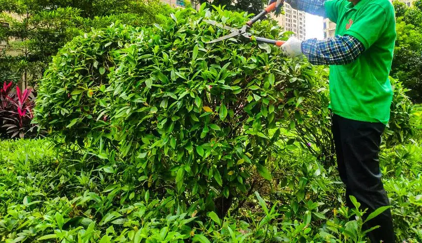 jn江南公司，親子網(wǎng)球拍平價好用不