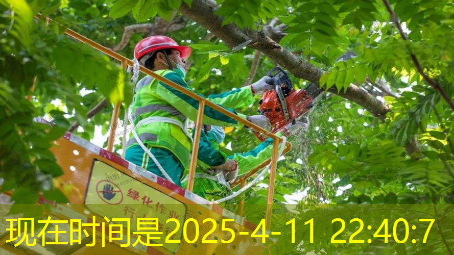 jn江南官方體育，新手用什么專業(yè)網(wǎng)球拍好