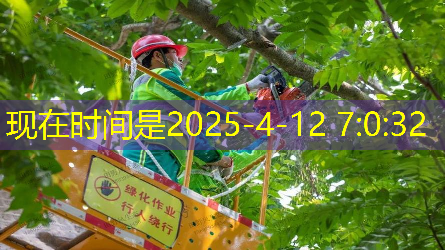 江南俱樂部，大黃蜂網(wǎng)球拍價格多少元