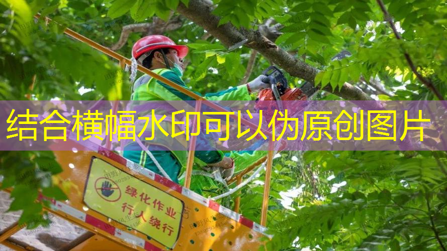 專業(yè)介紹網(wǎng)球拍的書籍有哪些