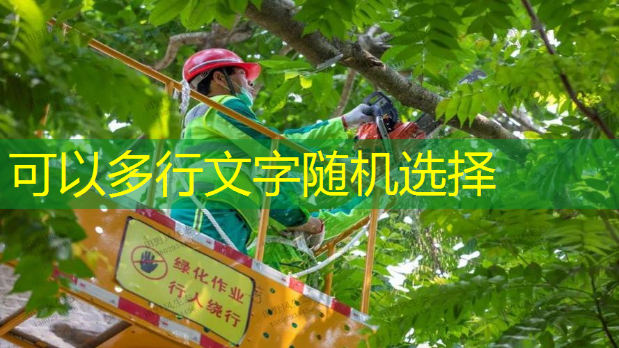 jn江南·體育登錄入口，紀(jì)念款網(wǎng)球拍會(huì)升值么嗎_