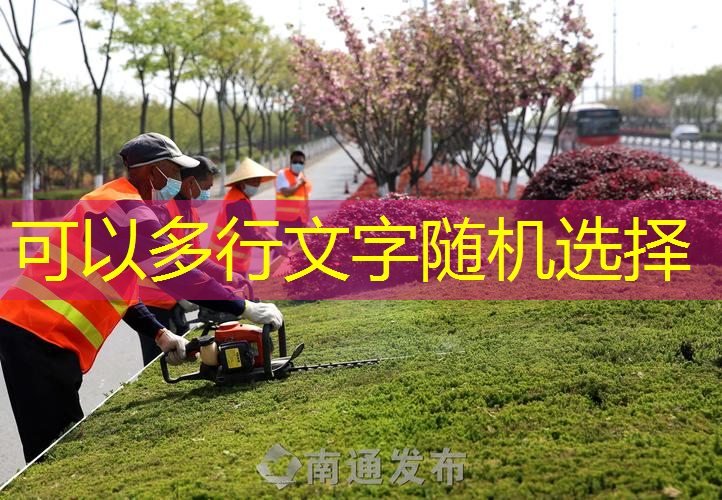 亞瑪芬體育網(wǎng)球拍多少