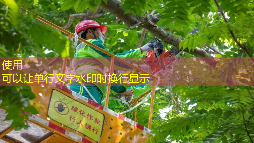 亞瑪芬體育網(wǎng)球拍多少