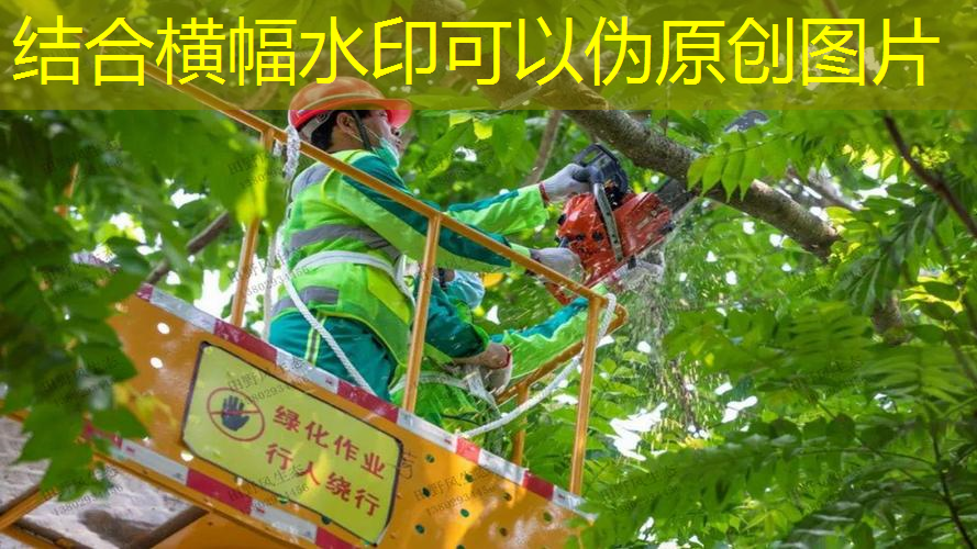做網(wǎng)球拍的繩子是什么