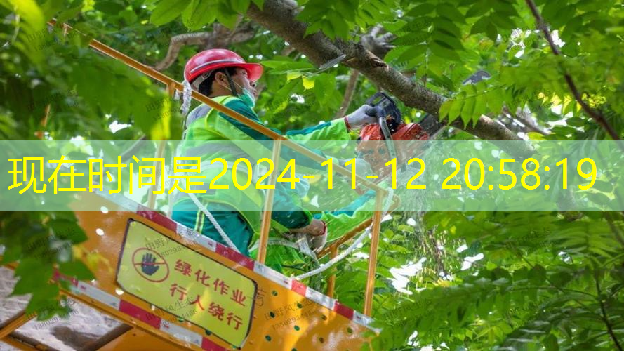 綠色王子網(wǎng)球拍怎么樣