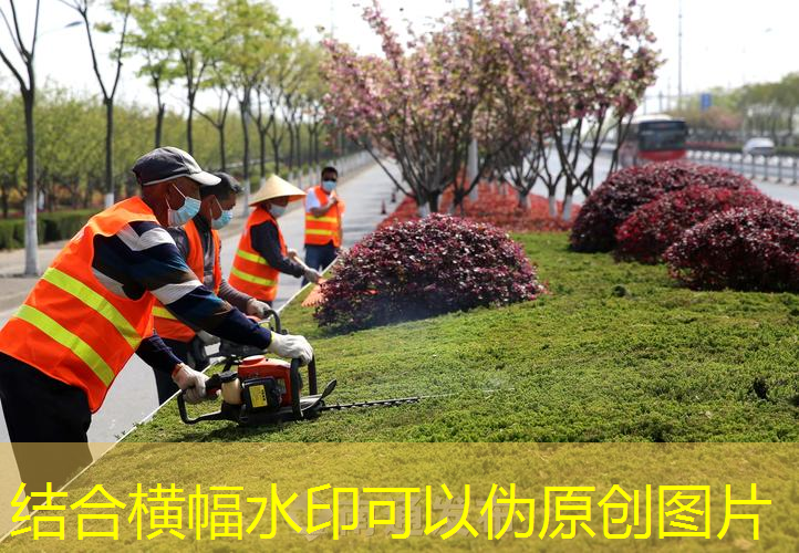 綠色王子網(wǎng)球拍怎么樣