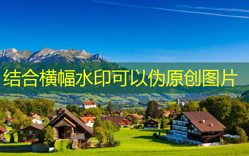 網(wǎng)球拍拍頭是哪個部位