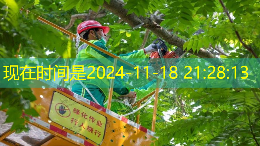 海德網球拍溫網怎么樣