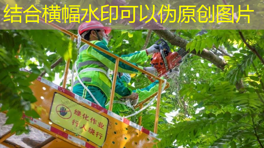 哪款網(wǎng)球拍軟件好用點