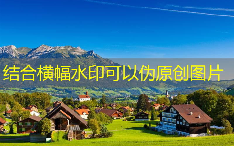 居家怎么練網(wǎng)球拍握拍動(dòng)作