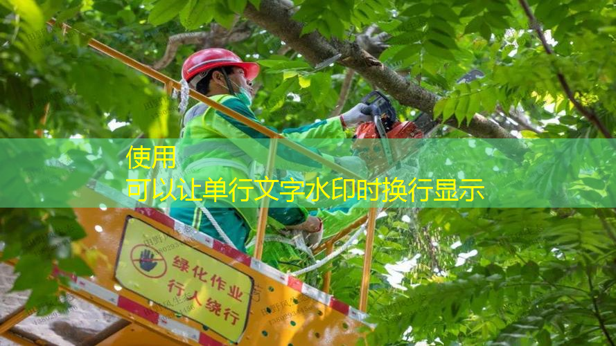 路夏和齊英修網(wǎng)球拍