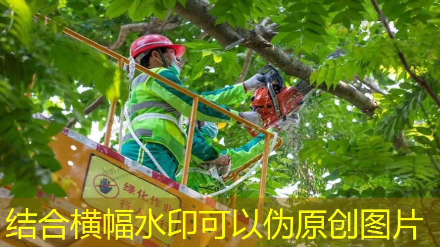 平價(jià)好用的初學(xué)者網(wǎng)球拍