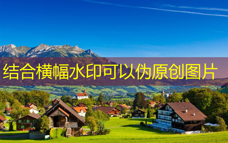 多倫多定制網(wǎng)球拍價格多少
