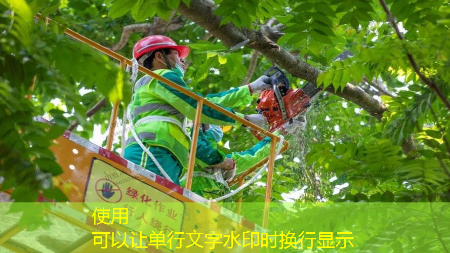 網(wǎng)球拍怎么看數(shù)據(jù)圖標(biāo)