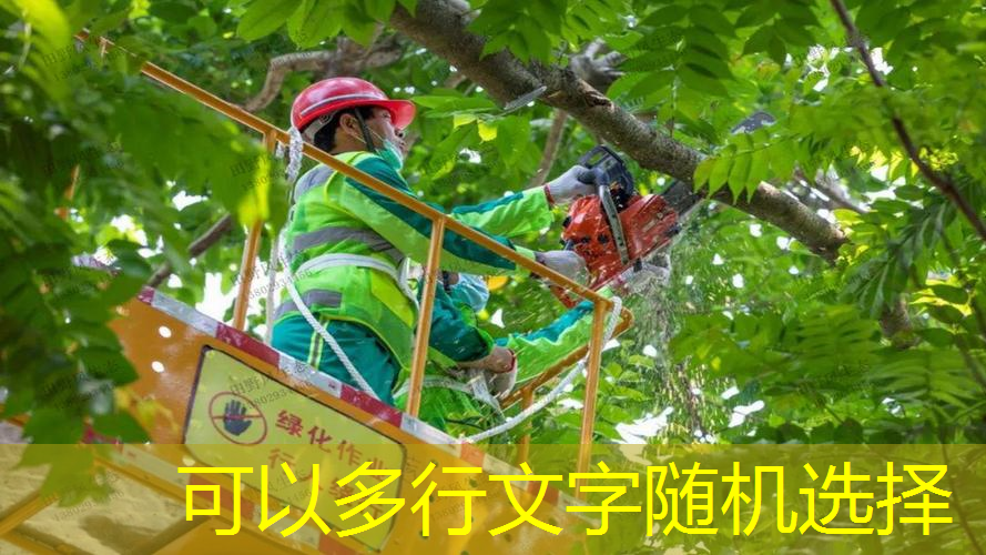 魚線能替代網(wǎng)球拍線嗎_