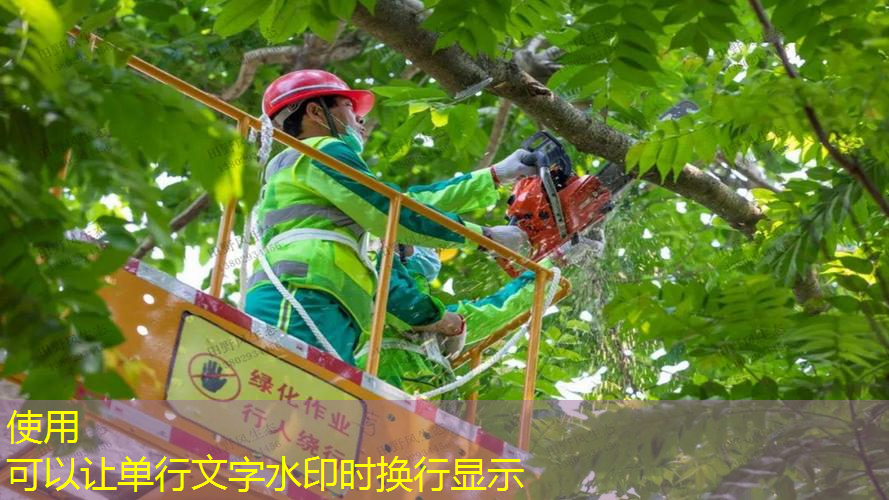 網(wǎng)球拍子怎樣選購的呢