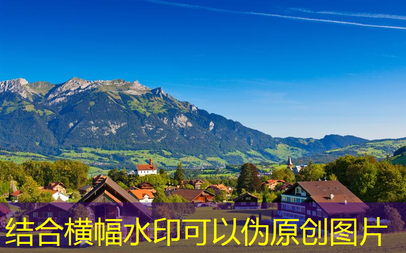 網(wǎng)球拍男的用幾號拍的
