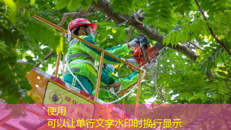 碳纖維網(wǎng)球拍是什么材料