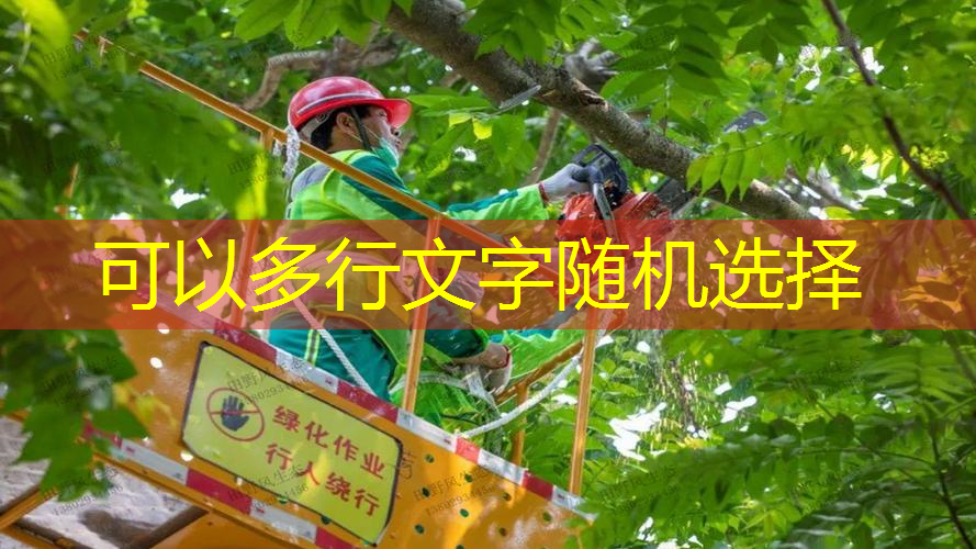 網(wǎng)球拍裂開了一點