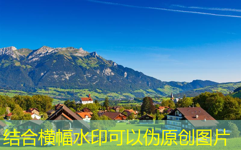 茅臺(tái)王子網(wǎng)球拍怎么樣啊