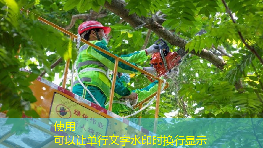 耐克網(wǎng)球拍單人初學(xué)者