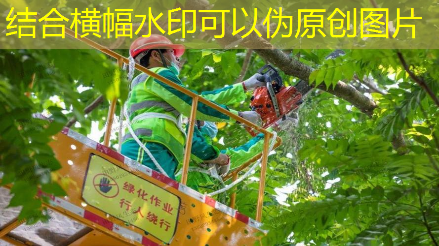 碳素入門網(wǎng)球拍哪款好用