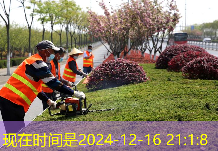 百寶力碳素網(wǎng)球拍紅白色