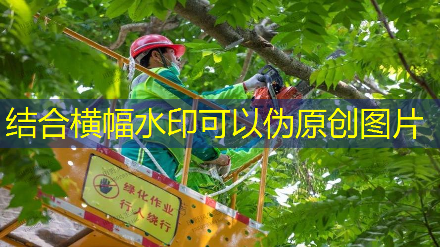 博卡網(wǎng)球拍是哪里產(chǎn)的